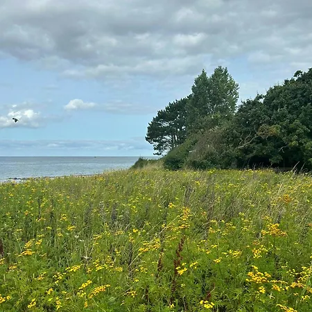 With Soul A Few Steps From The Water בית נופש