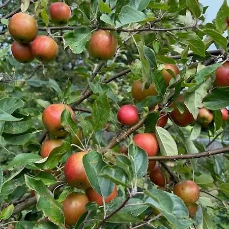 With Soul A Few Steps From The Water Martofte